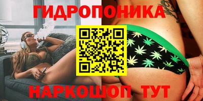 герыч Гатчина